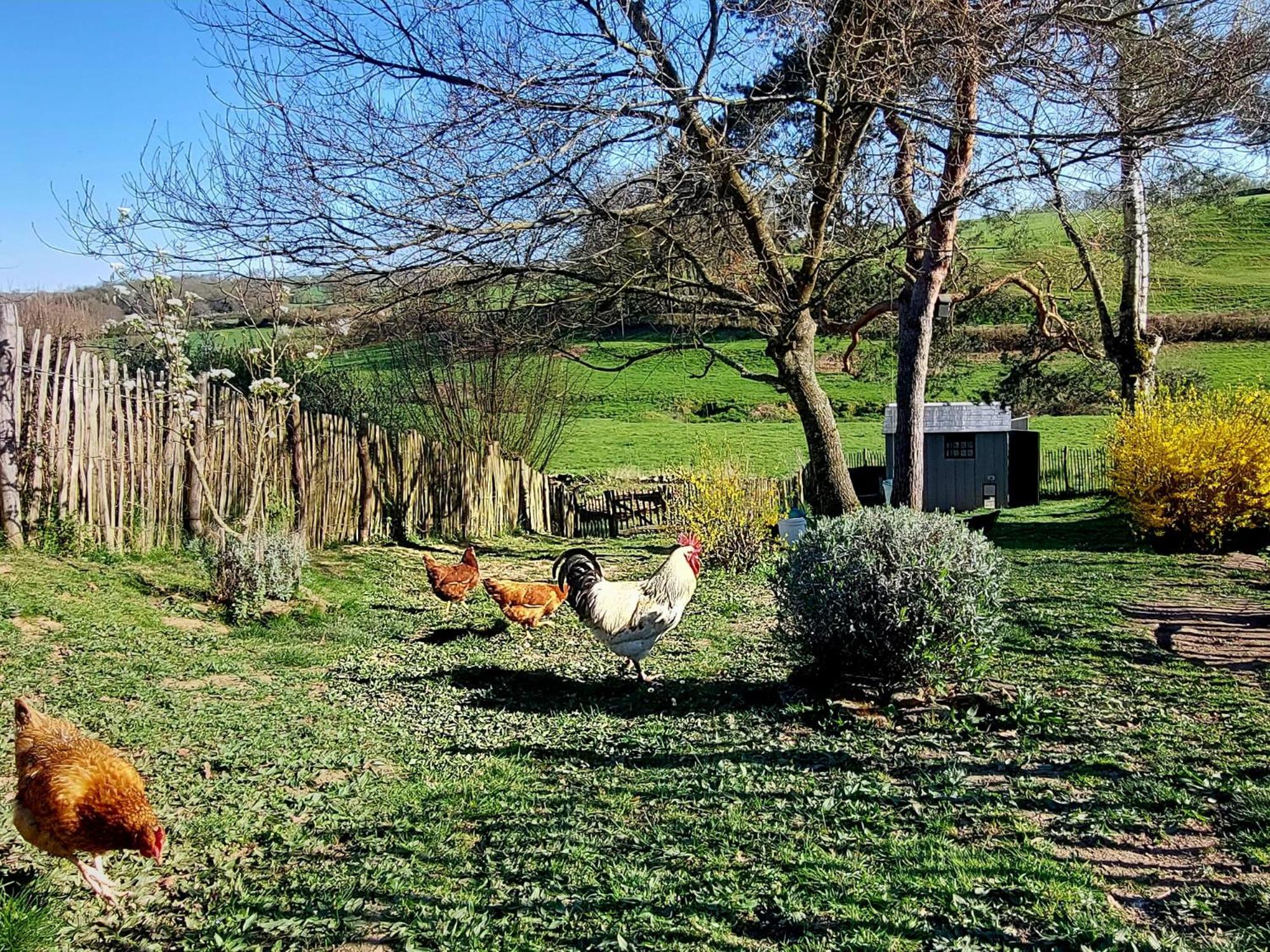 Maison Du Grand Moulin Saint-Aubin-en-Charollais Eksteriør billede